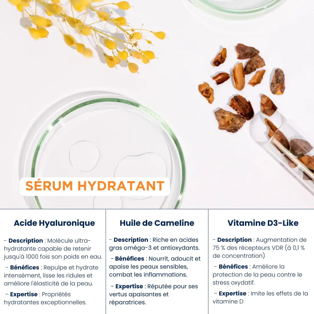 Ingrédients naturels du Sérum Hydratant Bio Kerbi – Acide Hyaluronique, Huile de Cameline, Vitamine D3-like